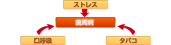 歯周病予防とアンチエイジング